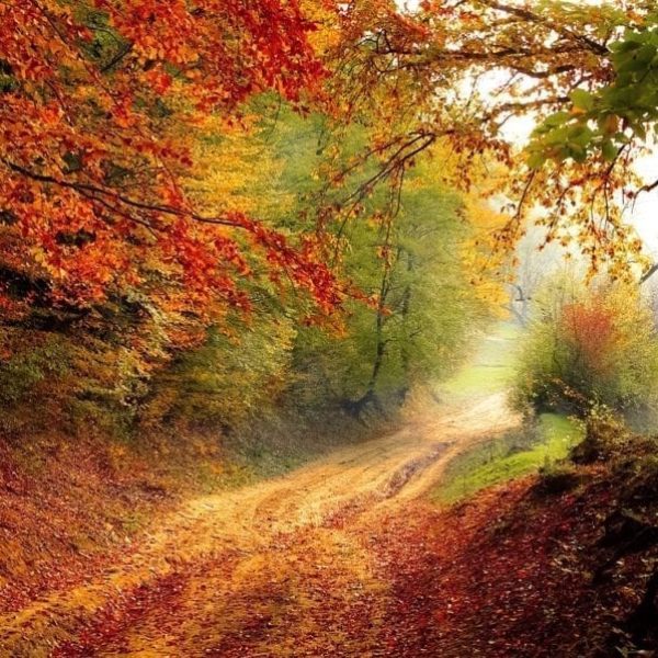 Herbstroad-1072823_1280