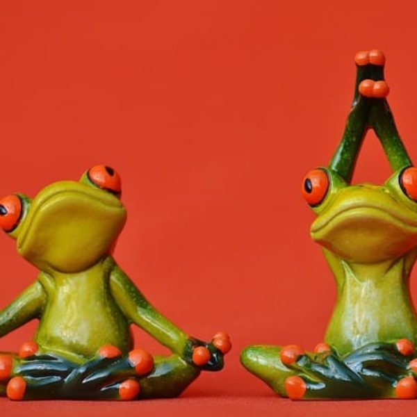 frogs-1249433_640