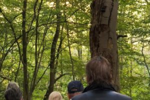 20201017_Wandertag - 26