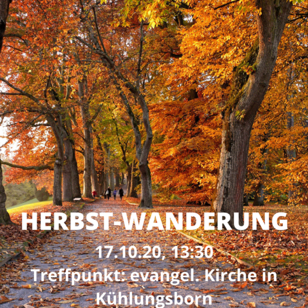 HERBST-WANDERUNG-2