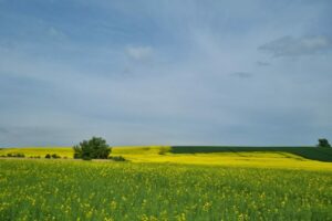 Bilder Wandertag Vital-Aktiv Dassow