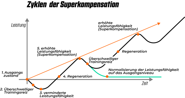 Superkompensation_bigger.width-750 Superkompensation_bigger.width-750